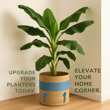 Jelly Fish Dual Tone Jute Basket - 10 X 10 Inch