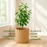 The Original Plain Jute Basket - 10 X 10 Inch