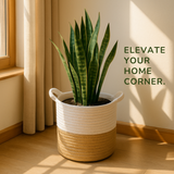 White Two Tone Jute Basket - 10" X 10"