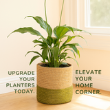 The Green Two Tone Jute Basket - 10 X 10 Inch