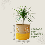 Orange Slice Yellow Jute Basket - 10 X 10 Inch