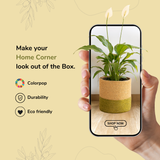 The Green Two Tone Jute Basket - 10 X 10 Inch