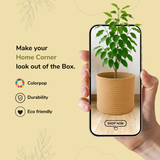 The Original Plain Jute Basket - 10 X 10 Inch