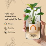 Rainbow Cotton Thread Basket 10" - Orange & Yellow