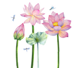 DIY Self Adhesive Lotus Plant Wall Sticker –Bright, Elegant & Easy Wall Art