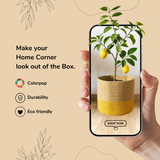 Lemon Yellow Two Tone Jute Basket - 10 X 10 Inch