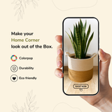 White Two Tone Jute Basket - 10" X 10"