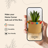 Color Pop Pom Pom Jute Basket - 10 X 10 Inch