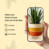 White Pom pom Tricolor Basket - 10 X 10 Inch