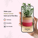 Sky is Pink Tricolor Jute basket - 10 X 10 Inch