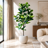Rubber Plant / Ficus Elastica 🌿 - 42 Leaves - 4FT