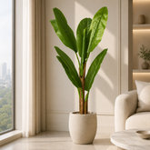 🍃✨ Tall & Tropical Banana Grove Plant 🍃✨ - 4.5 FT