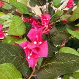 Artificial Lush Rani Pink Bougainvillea Tree 🌺✨- 6 FT