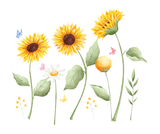 DIY Watercolor Sunflower Wall Stickers – Bright, Cheerful & Easy to Apply