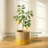 Lemon Yellow Two Tone Jute Basket - 10 X 10 Inch