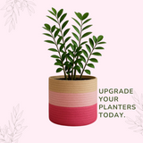 Sky is Pink Tricolor Jute basket - 10 X 10 Inch