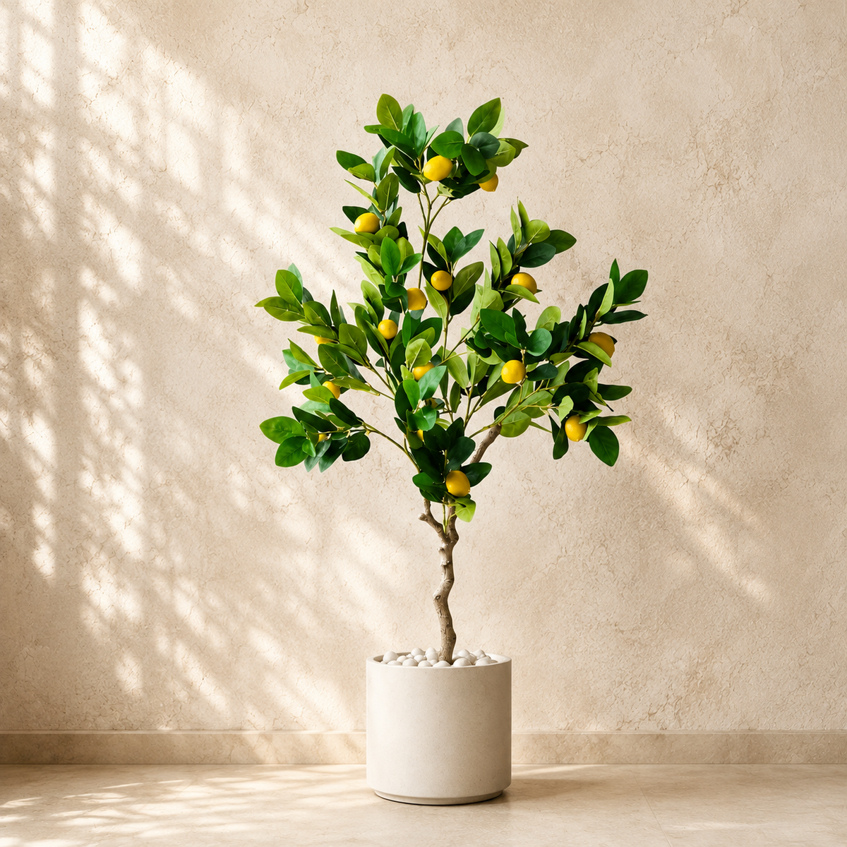 When life gives you Lemon Tree 🍋✨:  Buy it! - 4 ft